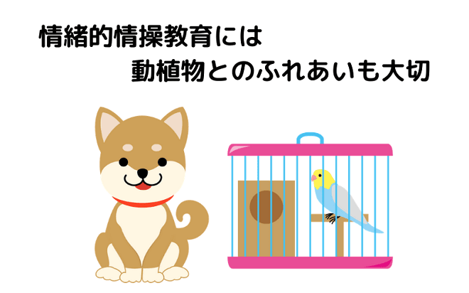 情緒的情操教育には動植物とのふれあいも大切