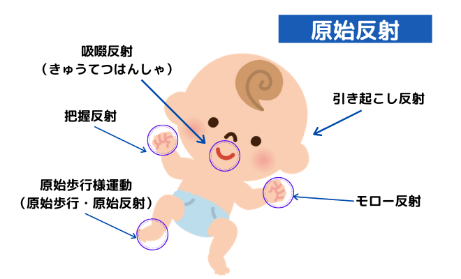 原始歩行様運動 原始歩行 原始反射 は新生児特有の動きだった