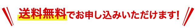 送料無料でお申込みいただけます!