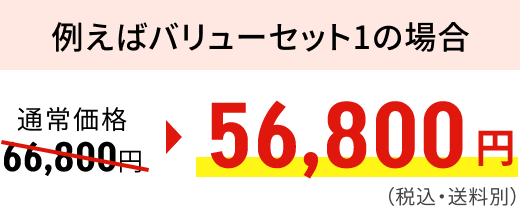 例えばバリューセット1の場合通常価格66,800円56,800円(税込・送料別)